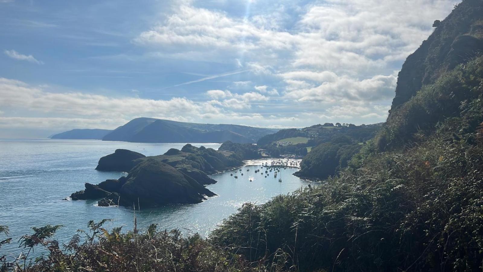 Newberry Wood Guesthouse Ilfracombe Εξωτερικό φωτογραφία
