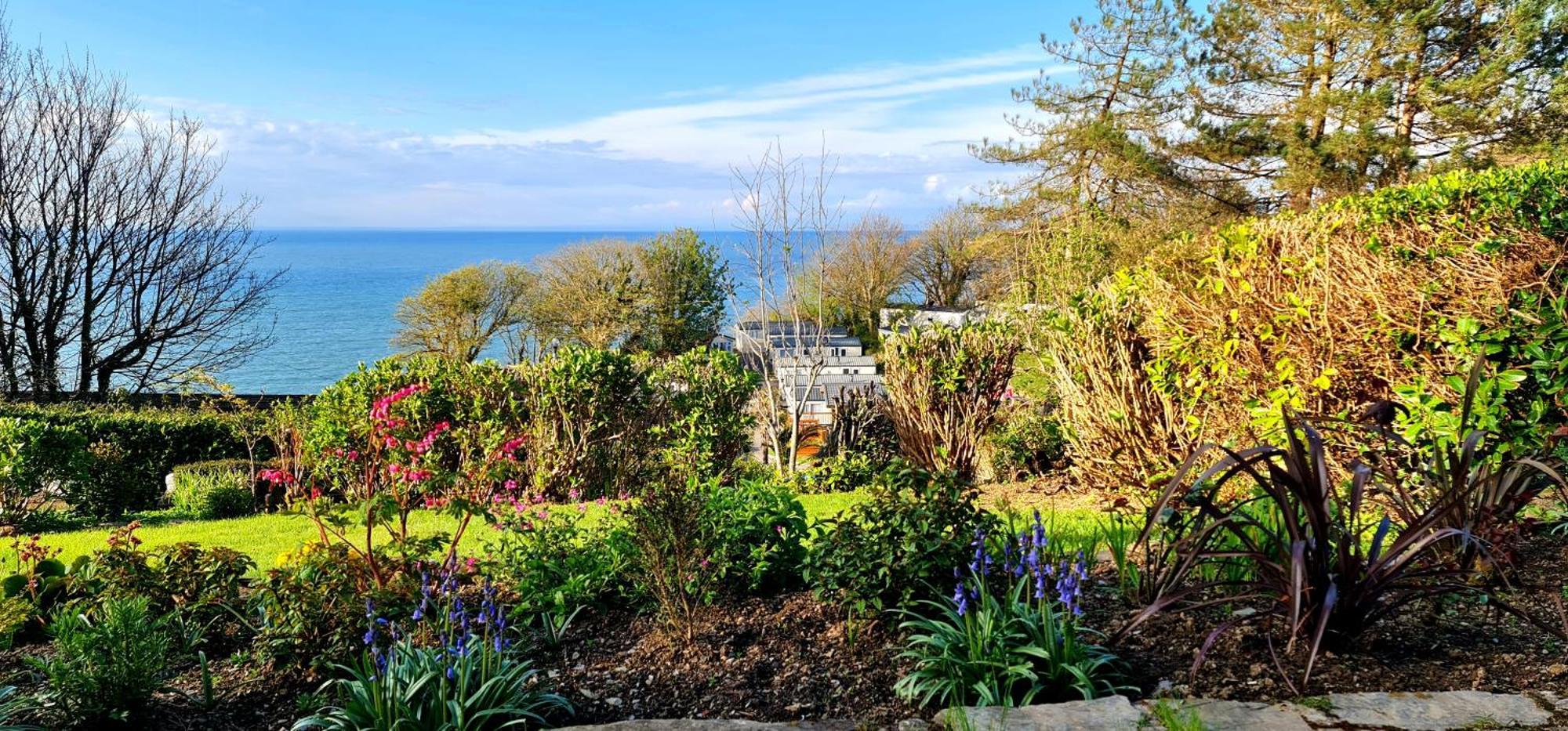 Newberry Wood Guesthouse Ilfracombe Εξωτερικό φωτογραφία